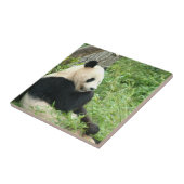 Panda-Fliese Fliese (Seite)