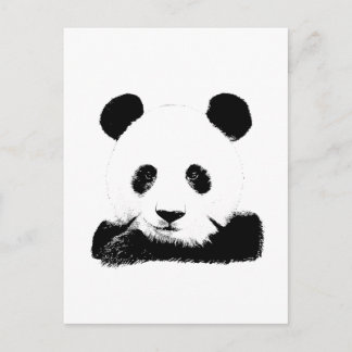 Panda Flüchtigen Blicke Out Postkarte