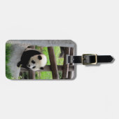 Panda Foto - Personalizable Gepäckanhänger (Vorderseite horizontal)