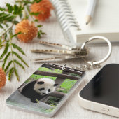 Panda Foto - Personalizable Schlüsselanhänger (Vorderseite rechts)