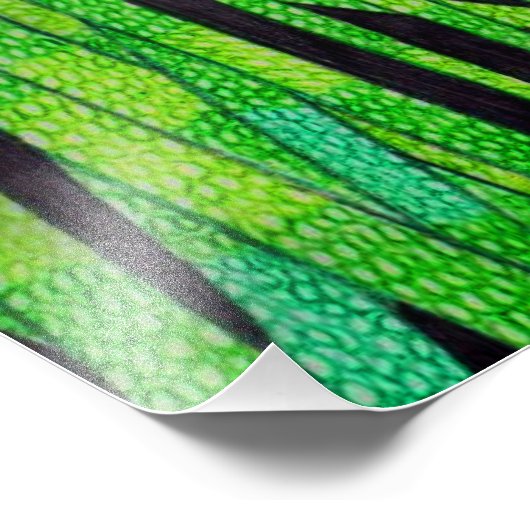 Panda - Foto Print (Ecke)