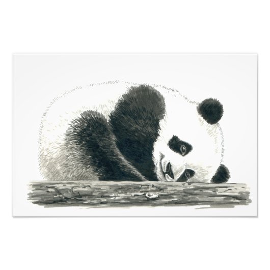 Panda Fotodruck (Vorne)