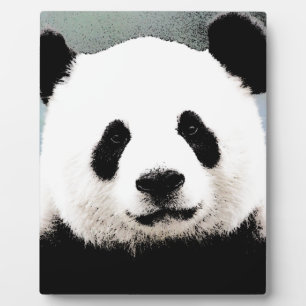 Panda Fotoplatte