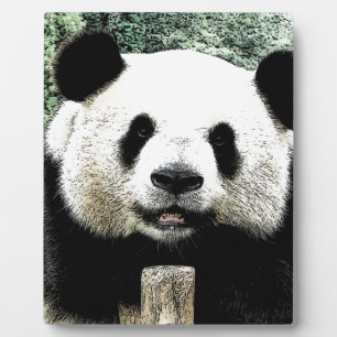 Panda Fotoplatte