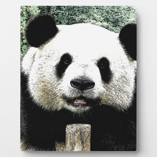 Panda Fotoplatte (Vorderseite)