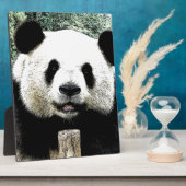 Panda Fotoplatte (Seite)