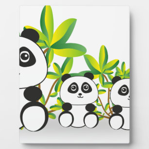 Panda Fotoplatte
