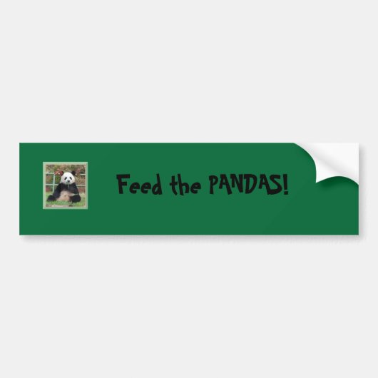 Panda, füttern die PANDAS! Autoaufkleber (Vorne)