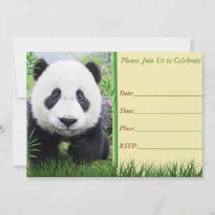 Panda-Geburtstagseinladung Einladung