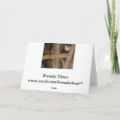 Panda Geburtstagskarte Karte (Rückseite)