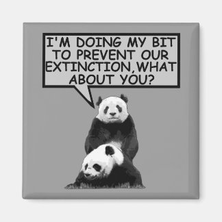 Panda gerettet magnet