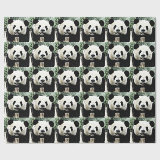 Panda Geschenkpapier (Flach)