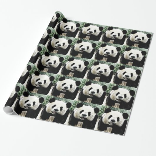 Panda Geschenkpapier (Ungerollt)