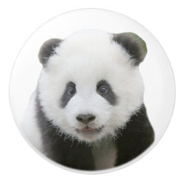 Panda-Gesicht Keramikknauf