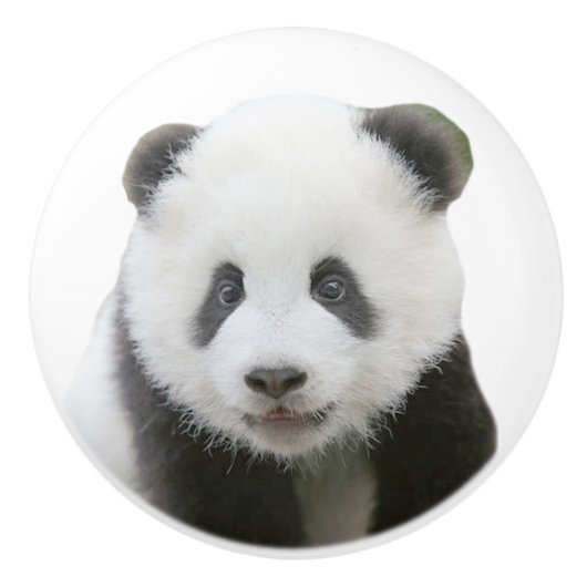 Panda-Gesicht Keramikknauf (Vorderseite)