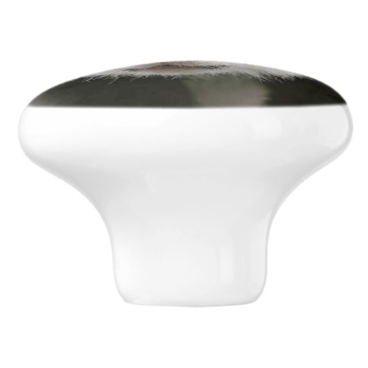 Panda-Gesicht Keramikknauf (Seitenansicht)