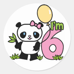 Panda Girl 6. Geburtstag Runder Aufkleber