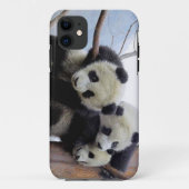 Panda-Hülse Case-Mate iPhone Hülle (Rückseite)