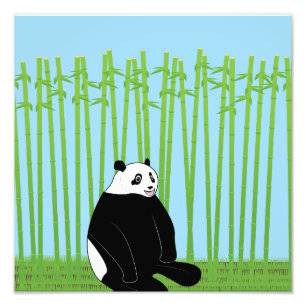 Panda im Bambuswald Fotodruck