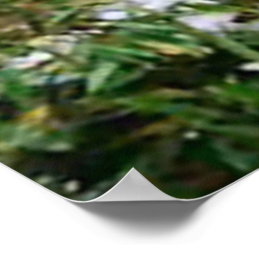 Panda im Gebirgsposter Poster (Ecke)