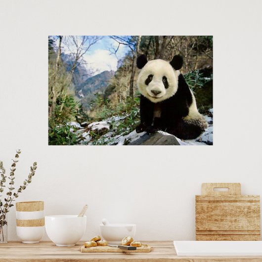 Panda im Gebirgsposter Poster (Küche)