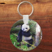Panda im Zoo von San Diego Schlüsselanhänger (Vorderseite)
