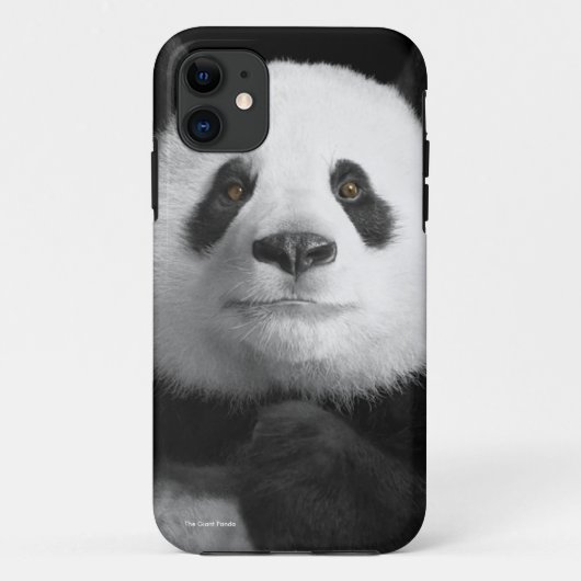 Panda-Image für iPhone-5-5S-Barely-There Case-Mate iPhone Hülle (Rückseite)