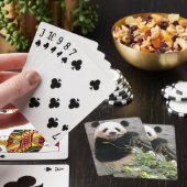 Panda-Imbiss Spielkarten (In Situ)