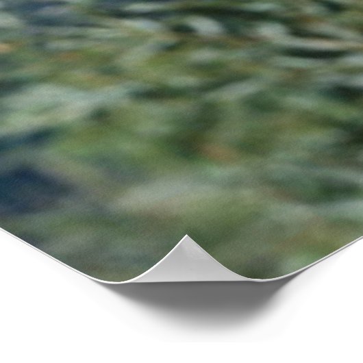 Panda in einem Baumposter 3 Poster (Ecke)