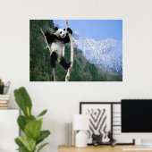 Panda in einem Baumposter Poster (Heimbüro)