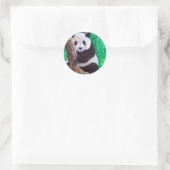 Panda in einer Baummalerei Runder Aufkleber (Tasche)