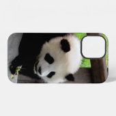 Panda iPhone Hülle (Rückseite (Horizontal))