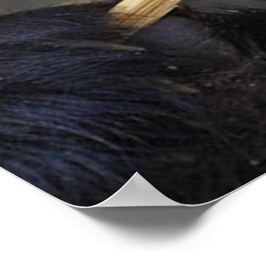 Panda isst Bambusbaumposter Poster (Ecke)