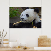 Panda isst Bambusbaumposter Poster (Küche)