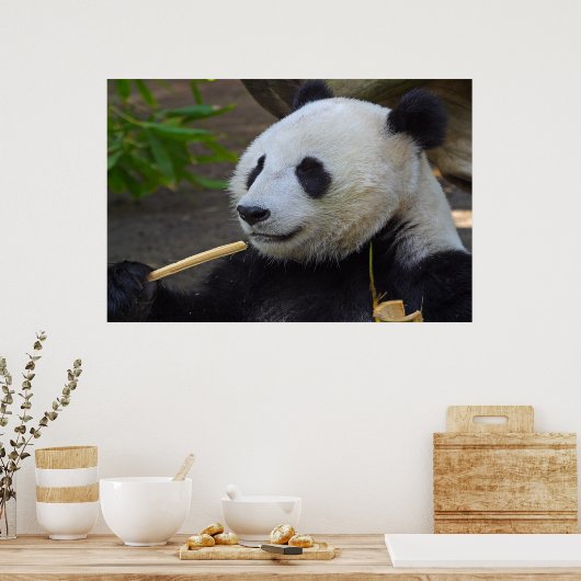 Panda isst Bambusbaumposter Poster (Küche)