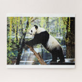 Panda Jigsaw Puzzle (Horizontal)