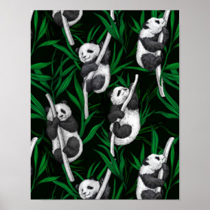 Panda-Junge auf dunkelgrün Poster