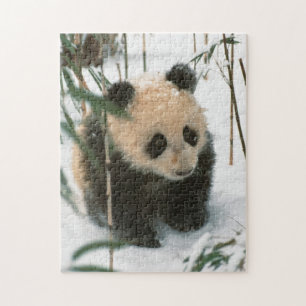 Panda-Jungtier im Schnee, Wolong, Sichuan, China Puzzle