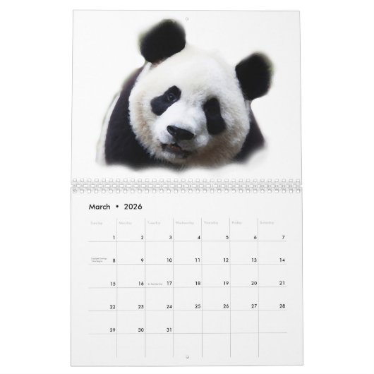Panda Kalender (Mär 2026)
