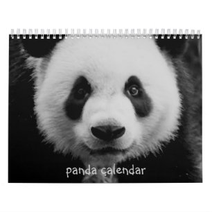 Panda Kalender