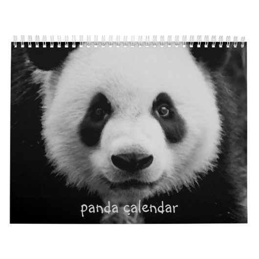 Panda Kalender (Titelbild)