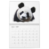 Panda Kalender (Mär 2027)