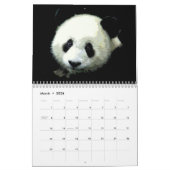 Panda Kalender (Mär 2026)