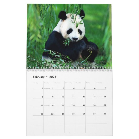 Panda Kalender (Feb 2026)