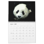 Panda Kalender (Mär 2027)