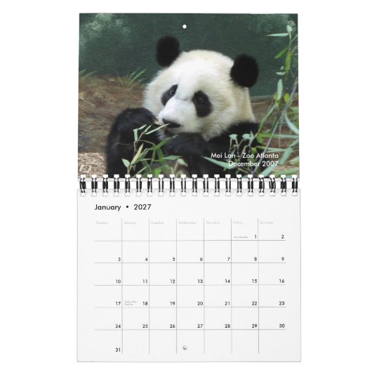 Panda-Kalender 2010 Kalender (Jan 2027)
