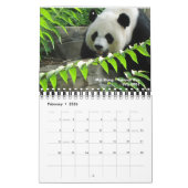 Panda-Kalender 2010 Kalender (Feb 2026)