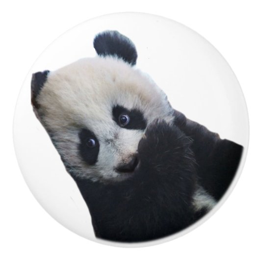 Panda Keramikknauf (Vorderseite)