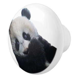Panda Keramikknauf