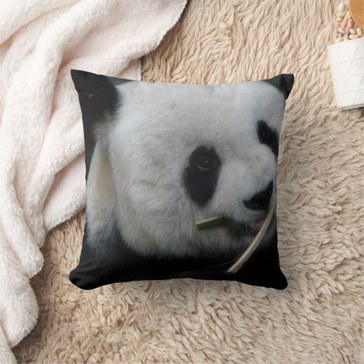 Panda Kissen (Decke)